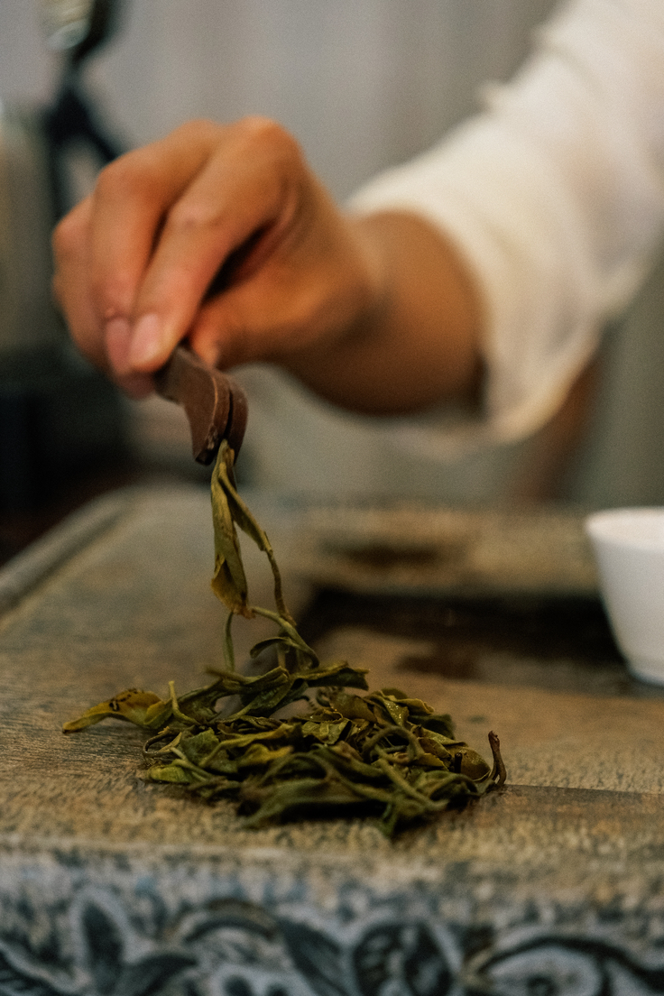 Tea Room Singapore – tea leaves carefully packed and brewed, paying tribute to farmers of Southeast Asia who shaped Chinese tea culture.