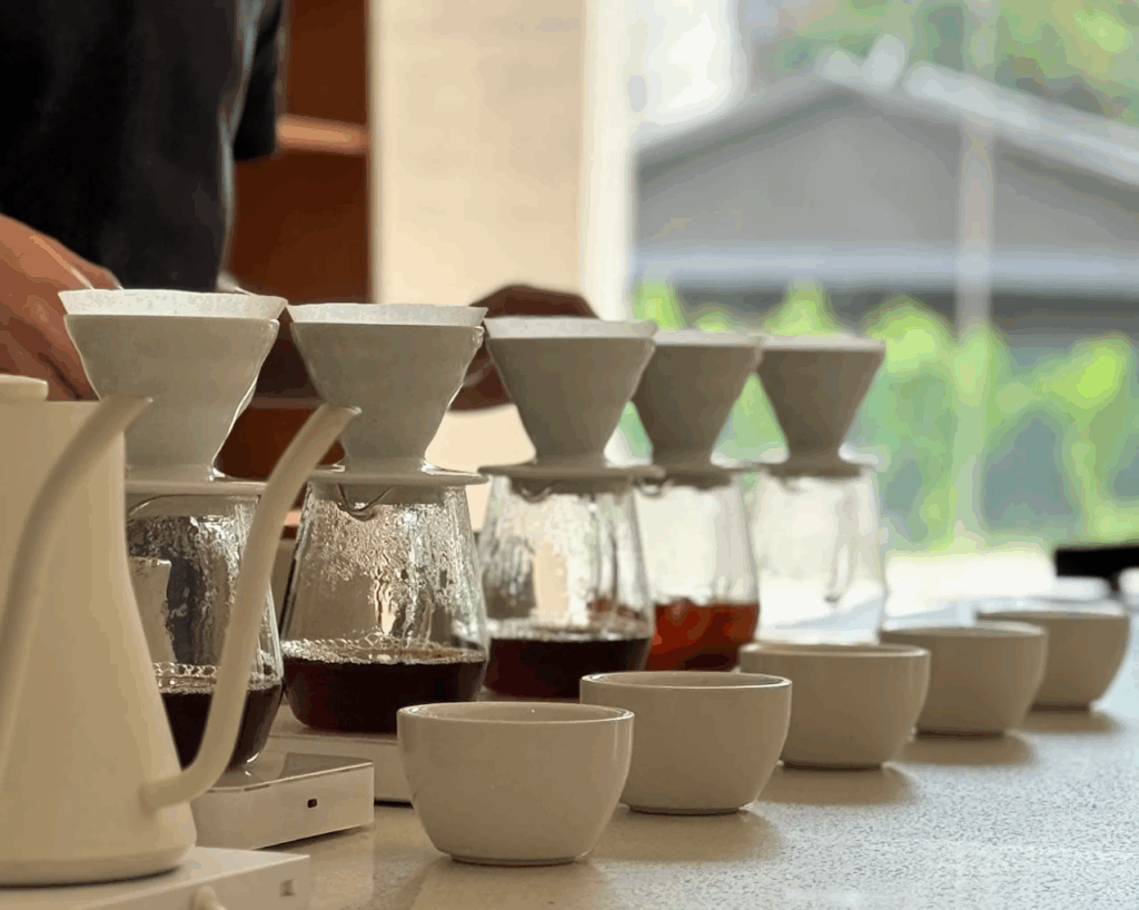 Best Coffee in SG : A barista at Apartment Coffee carefully preparing a pour-over brew amid a calm, modern space where precision and simplicity define the experience.