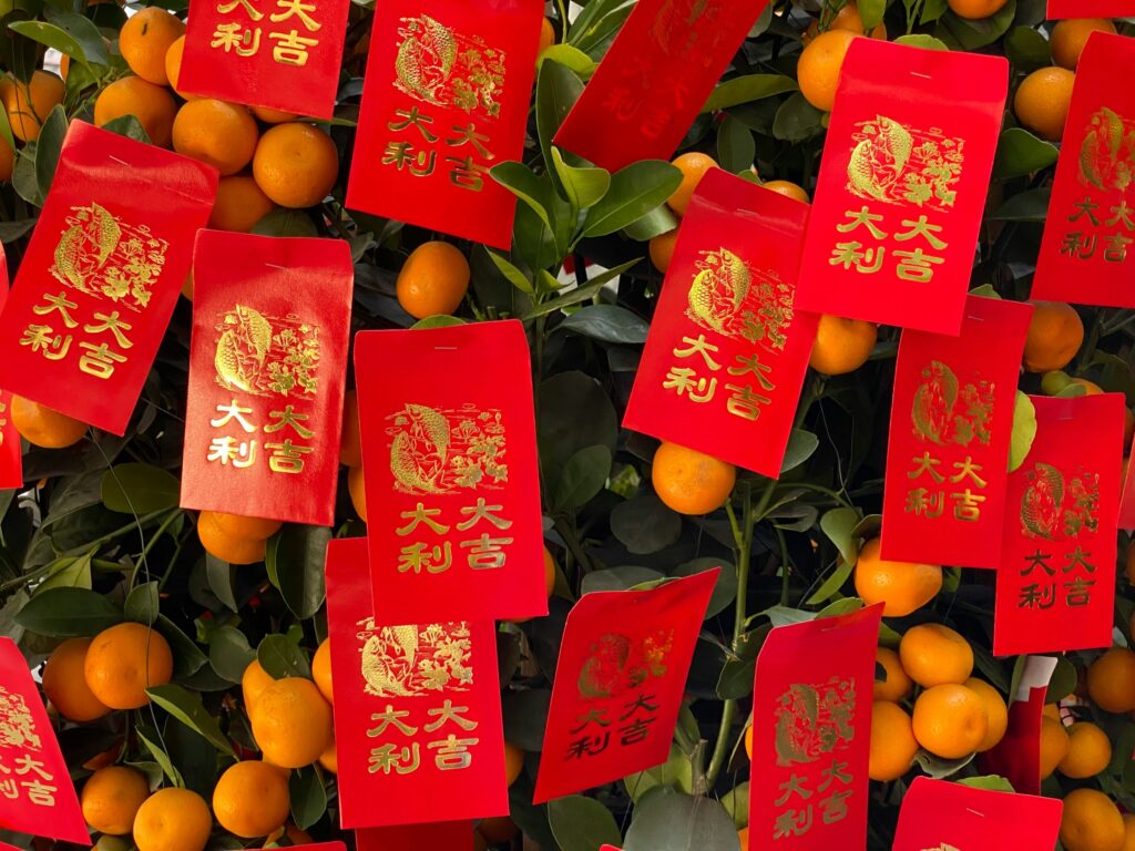 Red ang pao hanging elegantly on mandarin orange trees, creating a festive Chinese New Year atmosphere filled with wishes of luck and abundance.