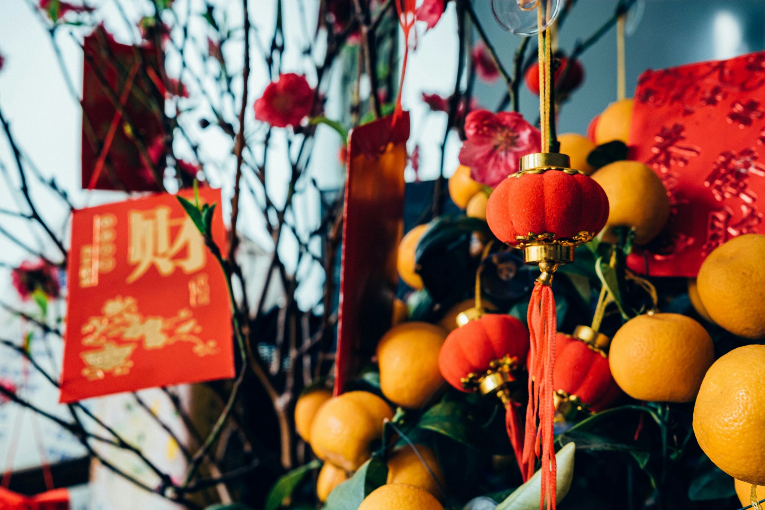 Bright Chinese New Year decorations featuring fresh mandarin oranges and red ang pao, symbolising prosperity, good fortune, and festive blessings.