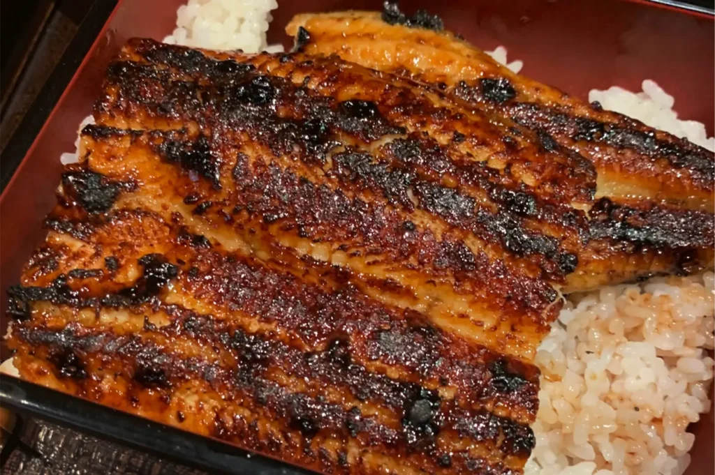 An extreme close-up shot captures caramelized, grilled unagi fillets resting over a bed of white rice inside a red and black bento box. The glazed eel features deep char marks and a glossy finish, with some of the rich sauce seeping into the grains of rice below.